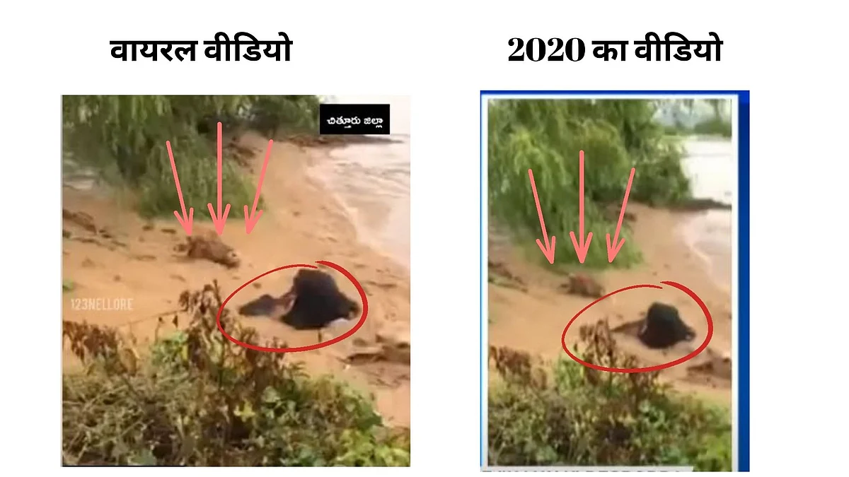 <div class="paragraphs"><p>बाएं वायरल वीडियो, दाएं 2020 का वीडियो </p></div>