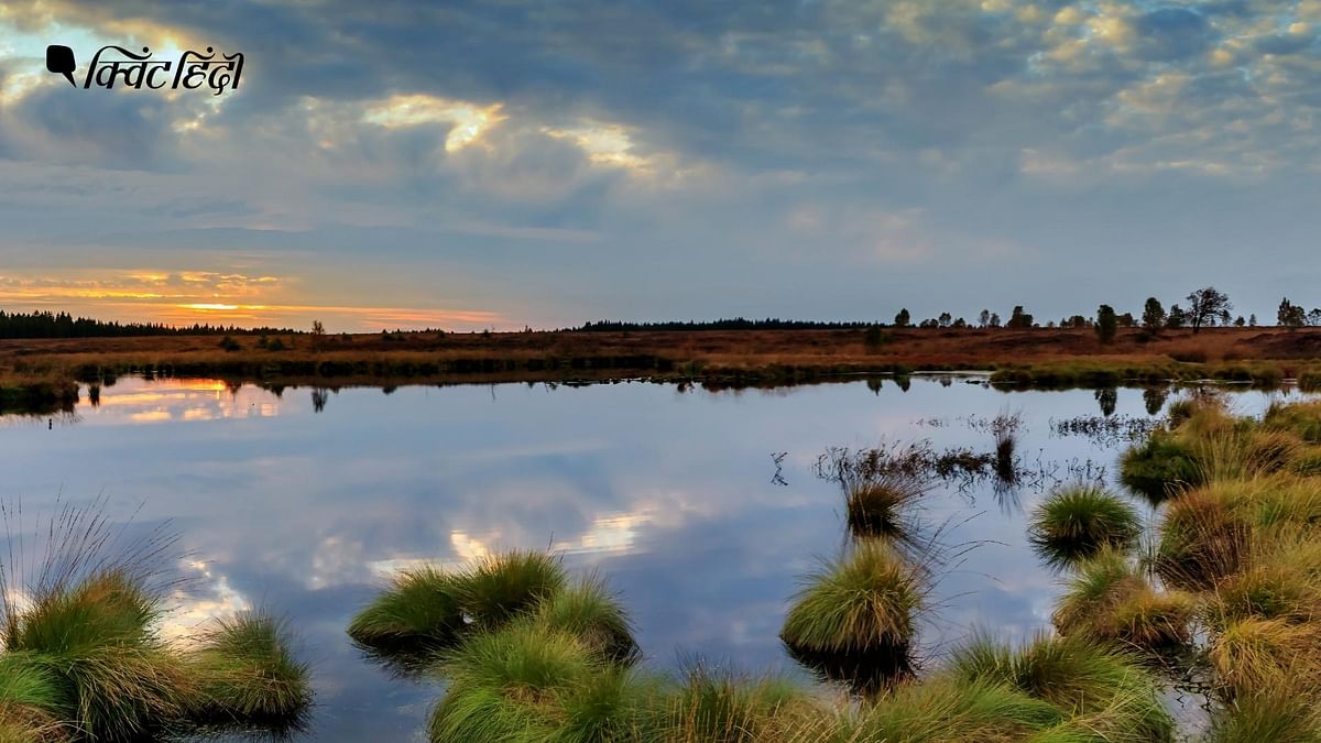 World Wetlands Day: बंजर भूमि नहीं है वेटलैंड्स, जलवायु परिवर्तन कम करने में अहम