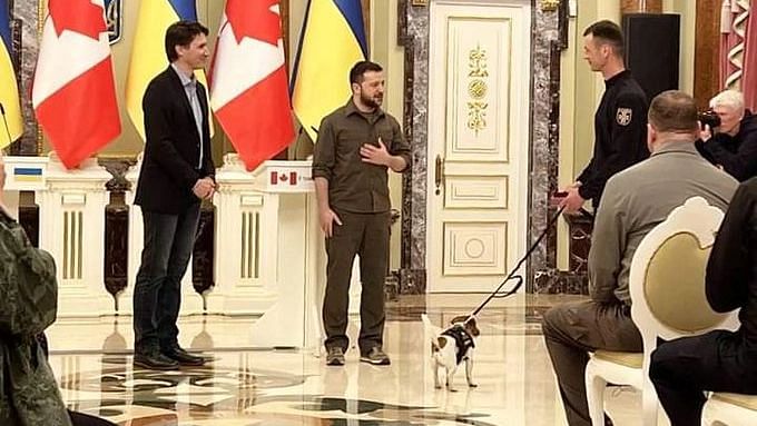<div class="paragraphs"><p>रूस-यूक्रेन जंग के बीच सम्मानित हुआ कुत्ता, जेलेंस्की ने 'पेट्रन' को पदक दिया</p></div>