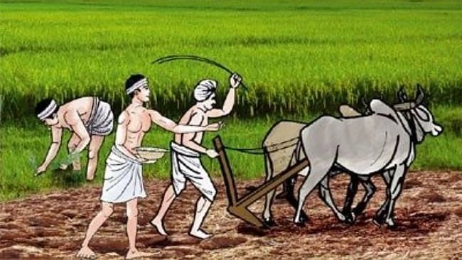 BJP का ‘अमृत काल’,AAP की रैली: किसानों को लुभाने की कला-आत्महत्याओं की अनदेखी  
