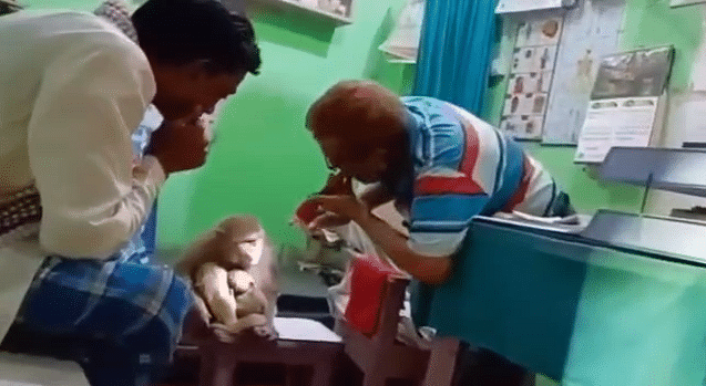 Rohtas Monkey Viral Video: इलाज के दौरान बंदरिया ने एक पल के लिए भी अपने बच्चे को खुद से अलग नहीं होने दिया 