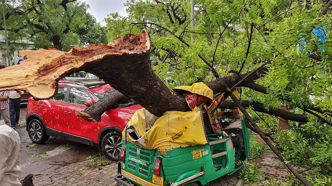 <div class="paragraphs"><p>Delhi:  आंधी में आखिर क्यों गिरे इतने ज्यादा पेड़, क्या कहते हैं एर्ट्क्सपस?</p></div>