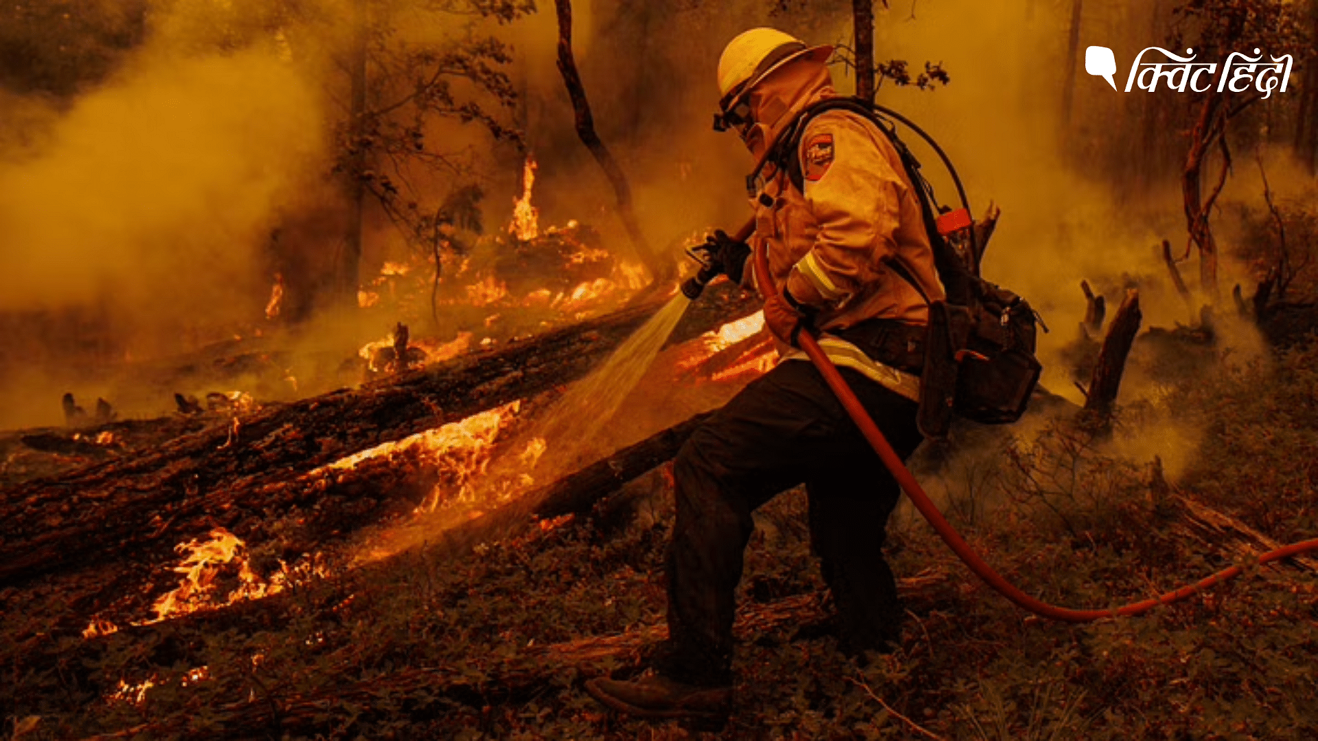 <div class="paragraphs"><p>Oak Fire: भीषण आग की लपटों से क्यों झुलस रहा है कैलिफोर्निया?</p></div>
