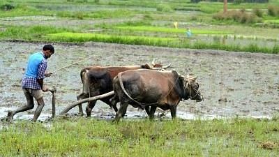 <div class="paragraphs"><p>Telangana: जमीन के मालिक किसानों को वित्तीय सहायता देगी तेलंगाना सरकार</p></div>