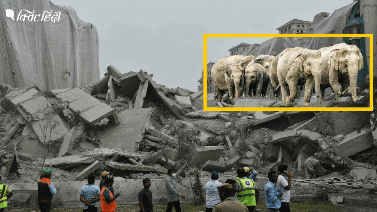 <div class="paragraphs"><p>Noida Twin Towers: 20,000 हाथियों के वजन के बराबर मलबा कैसे हटाया जाएगा?</p></div>
