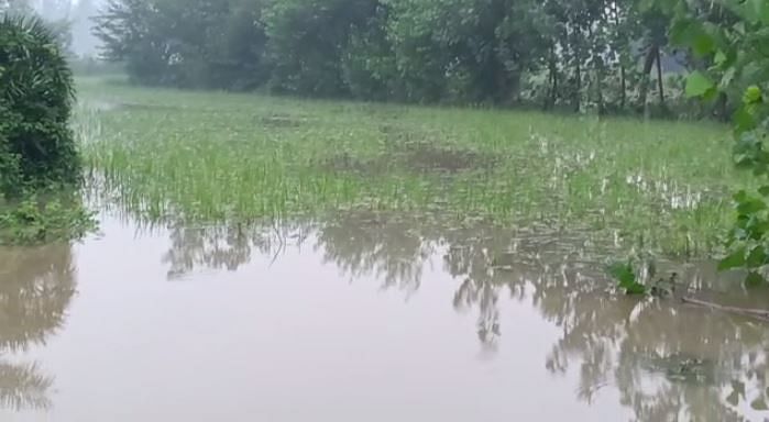 Uttar Pradesh Rain Updates: भारी बारिश की वजह से उत्तर प्रदेश के 10 जिलों में स्कूल बंद कर दिए गए हैं.
