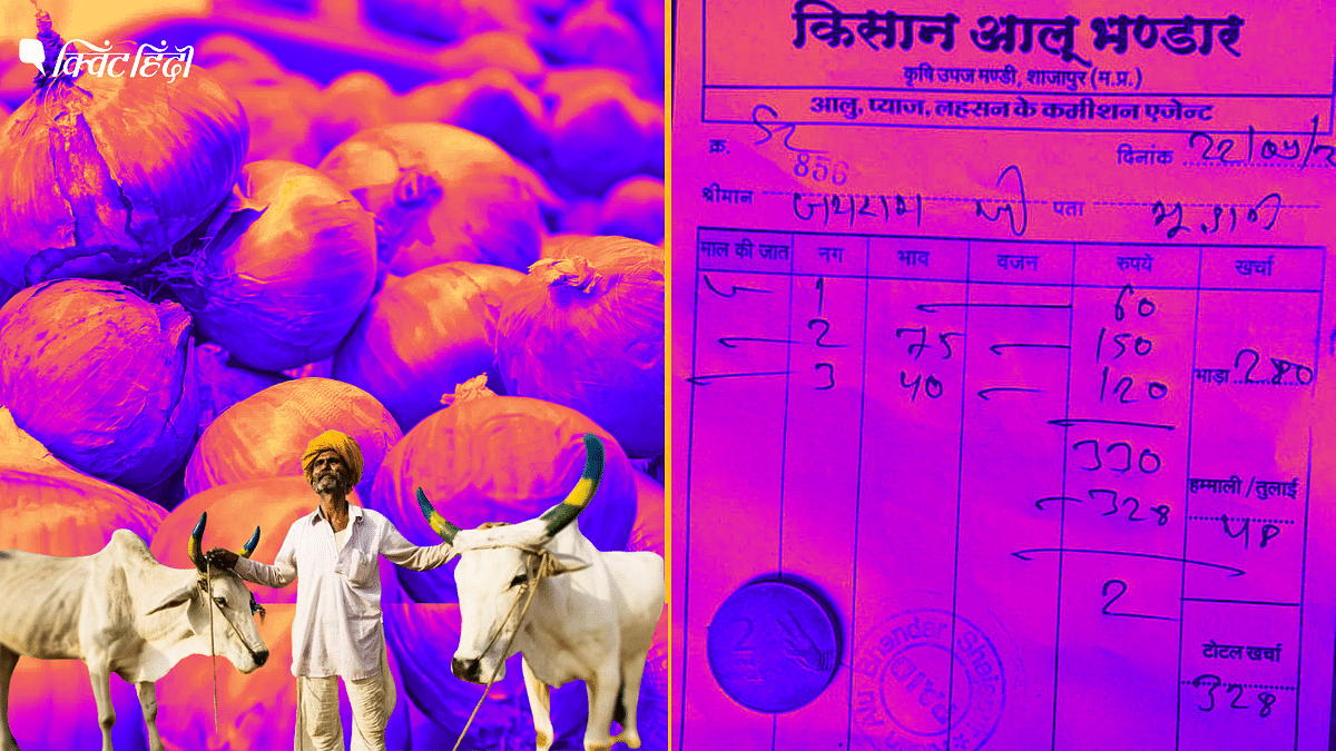 ₹2100 लागत Vs ₹2 कमाई: 300 किलो प्याज बेचकर क्यों रोता है किसान, समझिए पूरा गणित