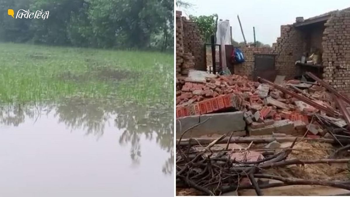 खड़ी फसल हुई बर्बाद- कहीं गिरे मकान, यूपी में भारी बारिश का 'कहर'