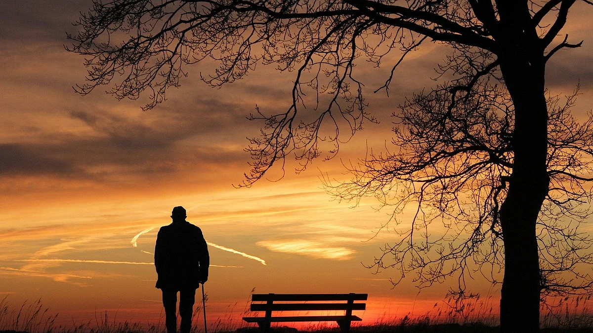 Old and Lonely: जिंदगी की शाम में अकेलापन: बुजुर्ग लोगों को ज्यादा बेहतर  देखभाल की जरूरत है Old and Lonely: Elderly people need better care