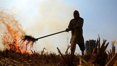 Punjab: पराली से होने वाले प्रदूषण में 30 प्रतिशत तक की कमी: पंजाब मुख्य सचिव