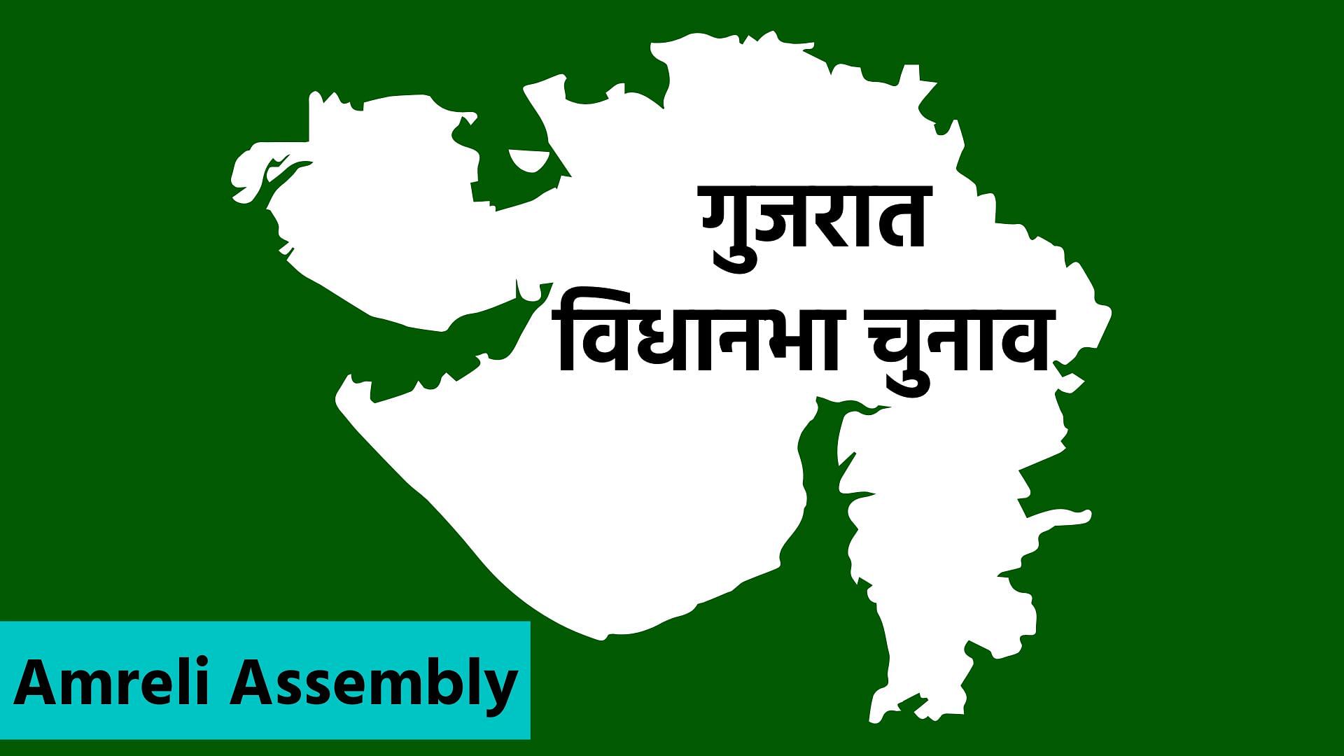 <div class="paragraphs"><p>Amreli Assembly Election Result: अमरेली विधानसभा सीट से BJP के कौशिकभाई की जीत</p></div>