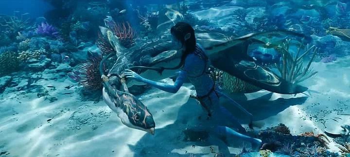 James Cameron's की  'Avatar: The Way of Water' 16 दिसंबर से हॉल में दिखाई जा रही