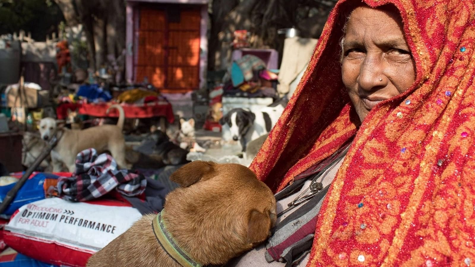 <div class="paragraphs"><p>दिल्ली नगर निगम द्वारा चलाए गए अतिक्रमण विरोधी अभियान में प्रतिमा के साथ 200 कुत्ते बेघर.</p></div>
