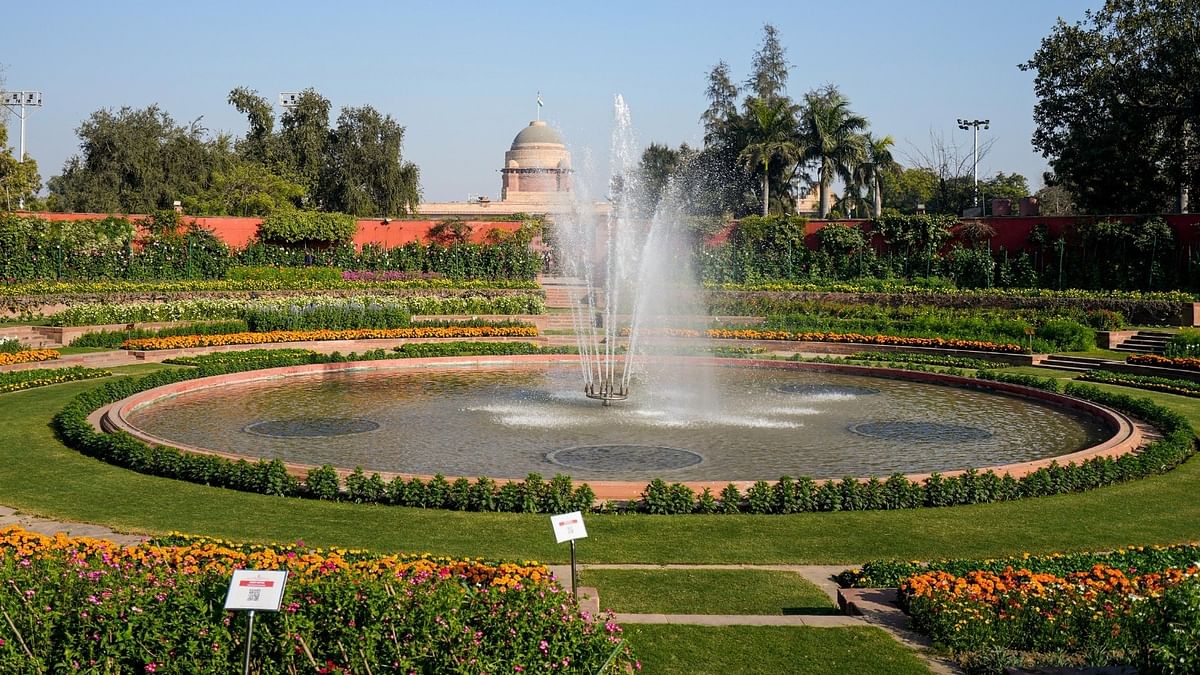 राष्ट्रपति भवन के मुगल गार्डन का नाम अब अमृत उद्यान,अंदर से कैसा दिखता है-Photos