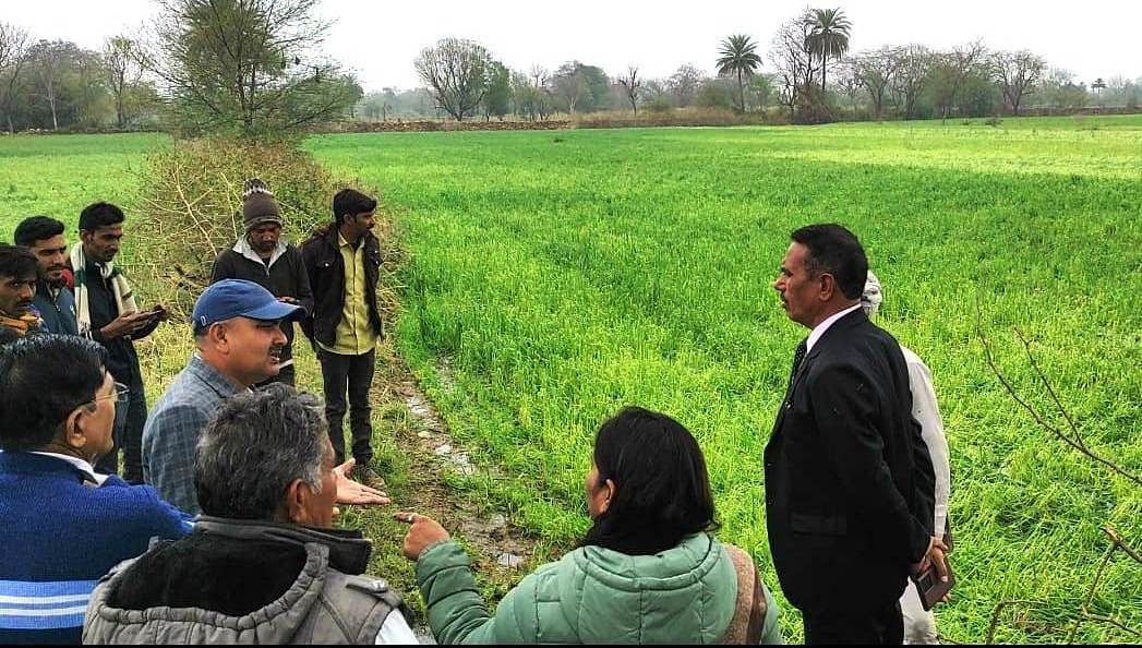 Crop damage in Rajasthan: सरकार ने फसल नुकसान के आकलन के लिए विशेष गिरदावरी के निर्देश दिए हैं. 
