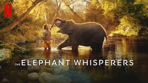 <div class="paragraphs"><p>The Elephant Whisperers documentary</p></div>