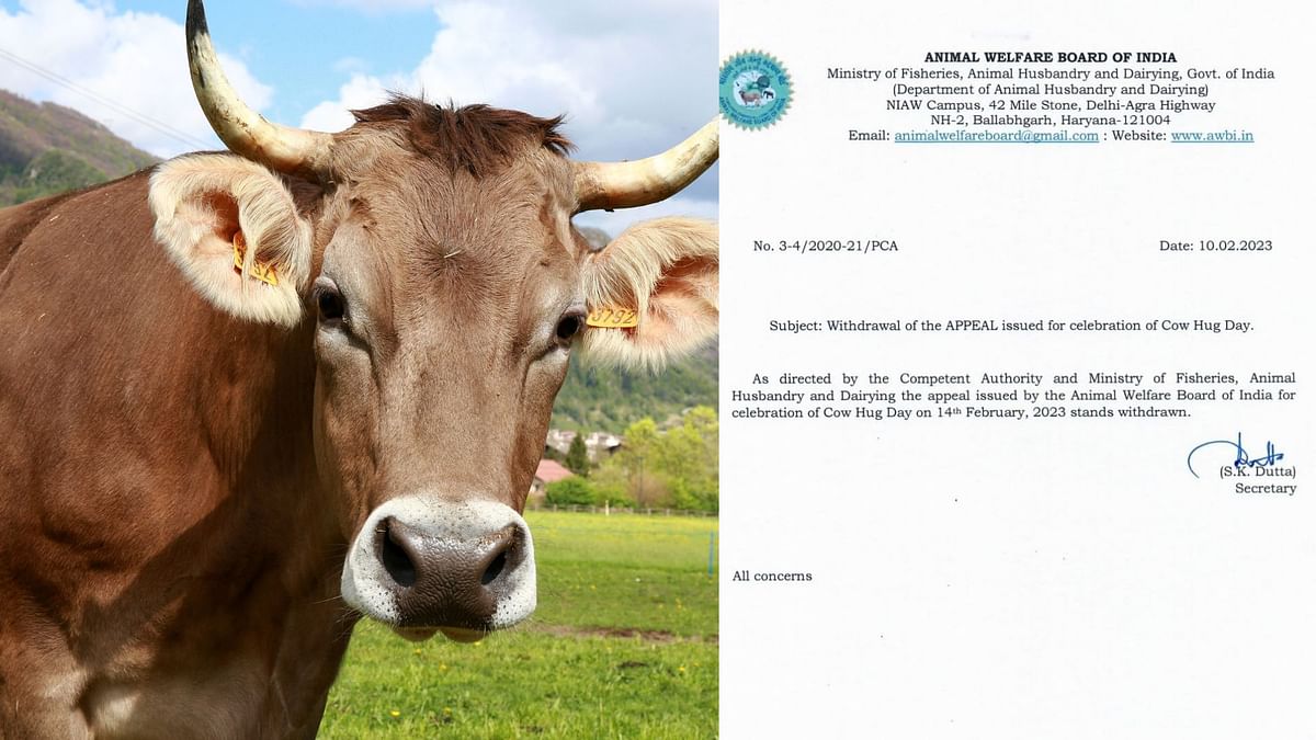 NO Cow Hug Day: 14 फरवरी को गाय के गले पड़ने की जरूरत नहीं,बोर्ड ने अपील वापस ली