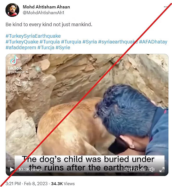 Mother dog Rescuing Puppies Viral Video: उदयपुर में 2019 का वीडियो Turkey-Syria Earthquake से जोड़ शेयर किया गया.