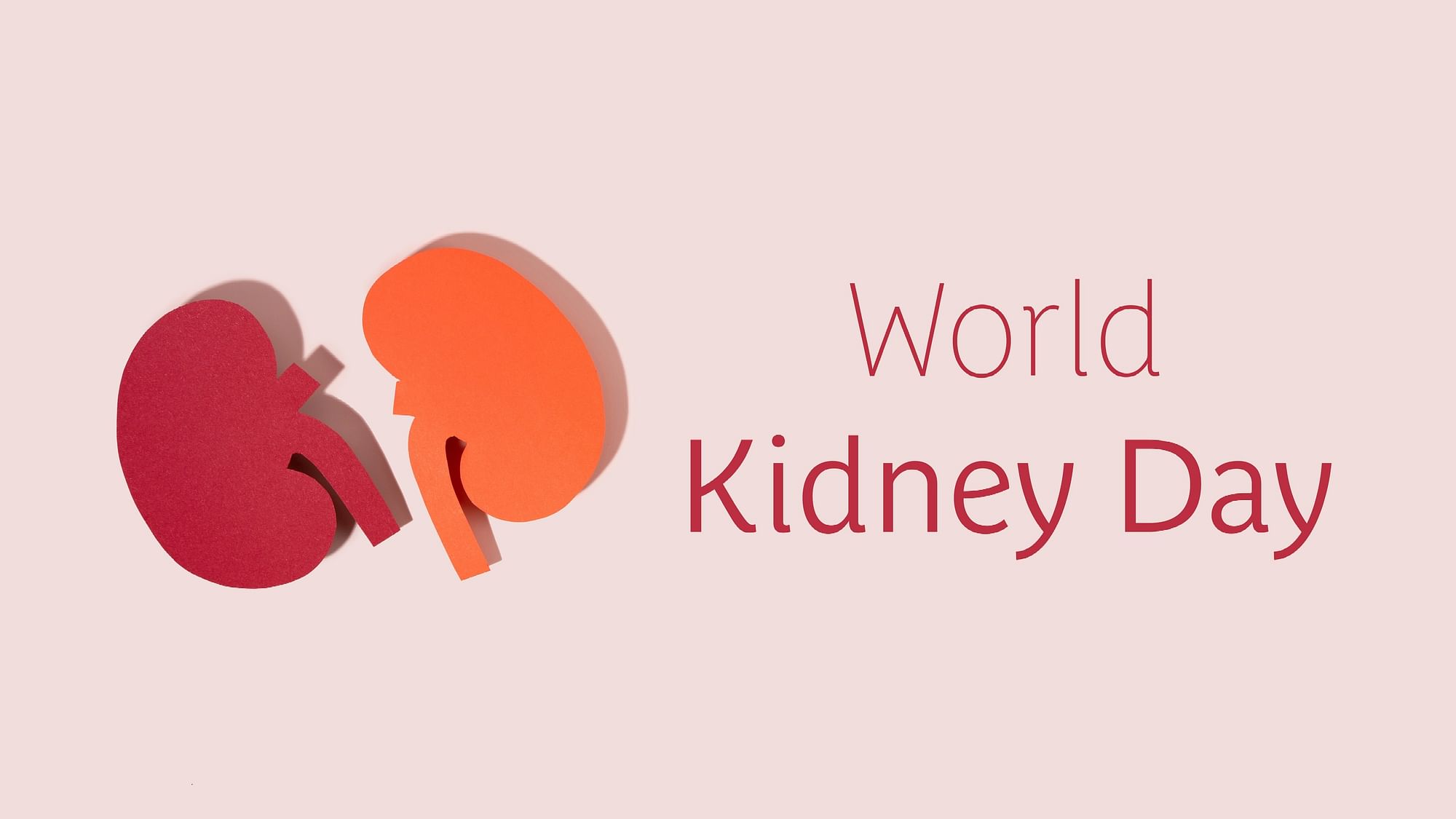<div class="paragraphs"><p>World Kidney Day 2023: गर्मियों में किडनी को कैसे स्वस्थ रखें?</p></div>