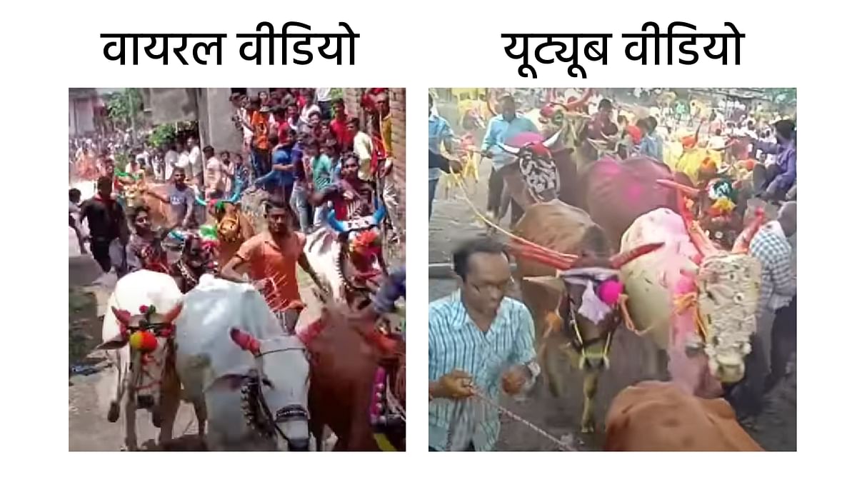वीडियो महाराष्ट्र के गांव में मनाए जाने वाले पारंपरिक उत्सव का है