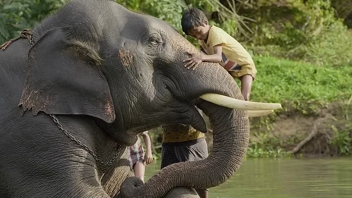 <div class="paragraphs"><p>Oscar 2023:भारत की 'The Elephant Whisperers' को बेस्ट डॉक्यूमेंट्री शॉर्ट अवॉर्ड</p></div>