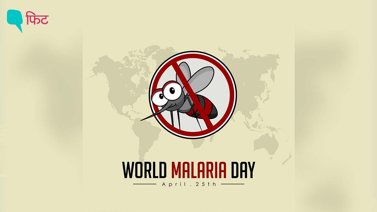 मलेरिया, डेंगू और कोविड के लक्षणों में क्या अंतर? बचाव लिए जानें-एक्सपर्ट की राय