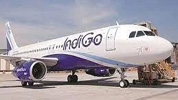 <div class="paragraphs"><p>Swedish flyer molests IndiGo cabin crew</p></div>