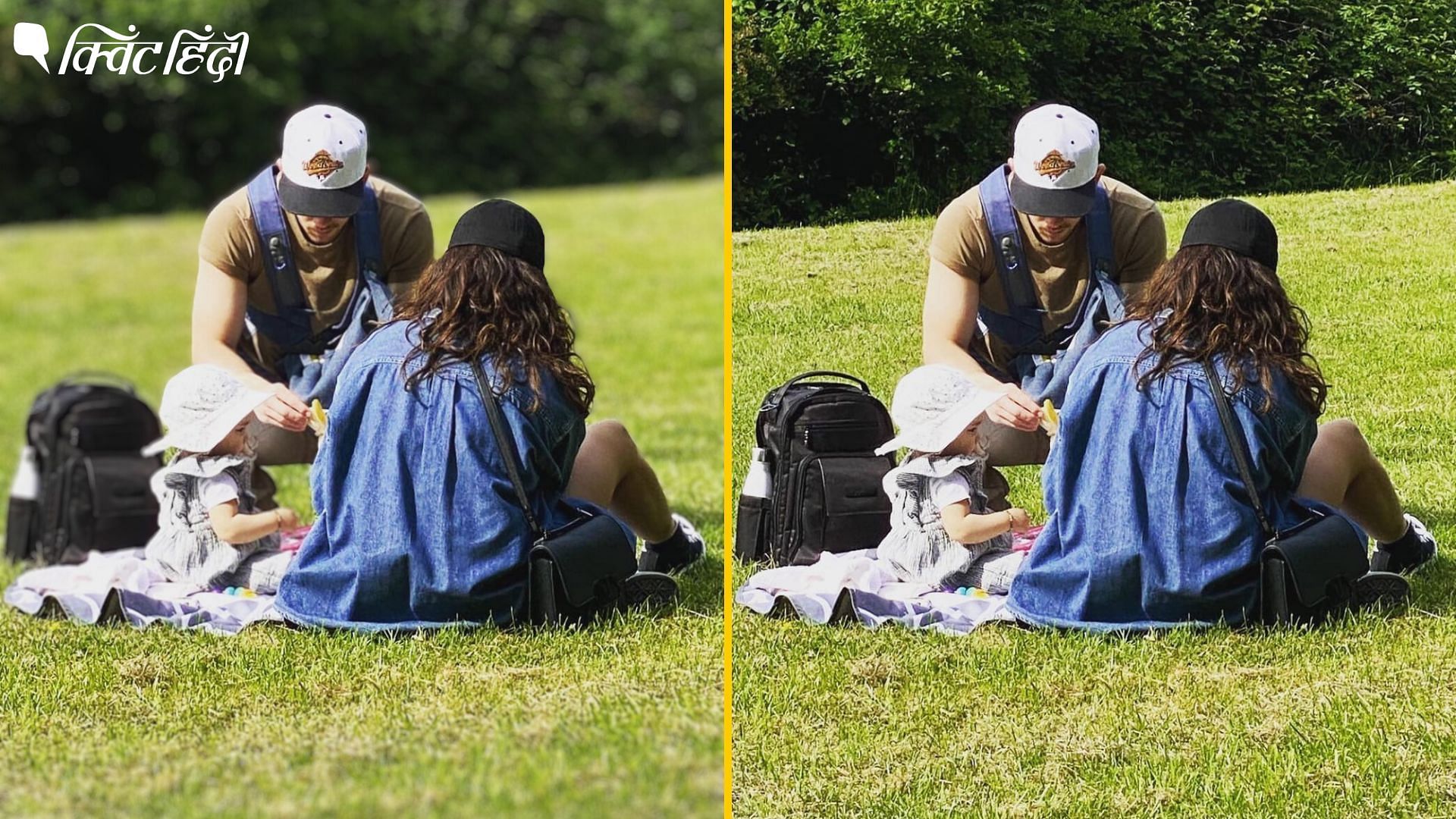 <div class="paragraphs"><p>Priyanka Chopra shares pictures Sunday picnic date with Malti Marie and Nick Jonas</p></div>