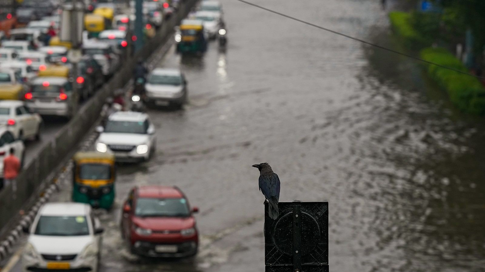 <div class="paragraphs"><p>बारिश से बेहाल हुई दिल्ली, कहीं लंबा जाम तो कहीं जलभराव</p></div>