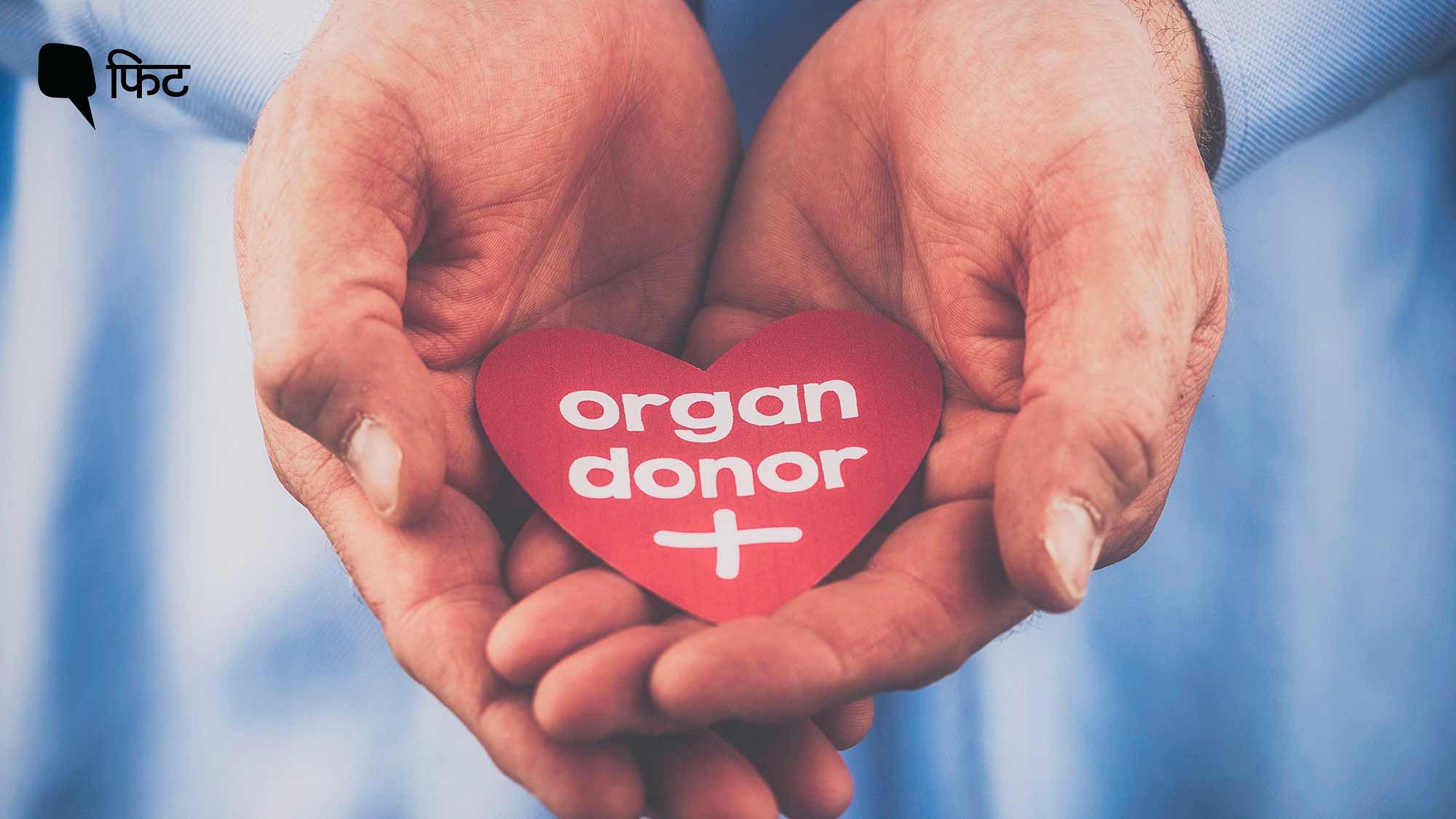 <div class="paragraphs"><p><strong>World Organ Donation Day 2023:&nbsp;अंगदाता बनने के लिए पंजीकरण कैसे करें?</strong></p></div>