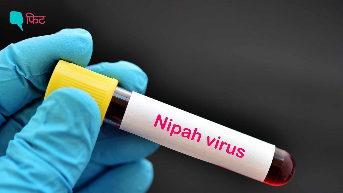 Nipah Virus: केरल पहुंचा मोनोक्लोनल एंटीबॉडी, निपाह के सक्रिय मामले बढ़ कर हुए 4