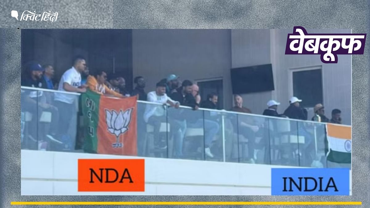 एशिया कप में हुए भारत-पाक मैच की नहीं हाथ में बीजेपी का झंडा लिए दर्शक की फोटो