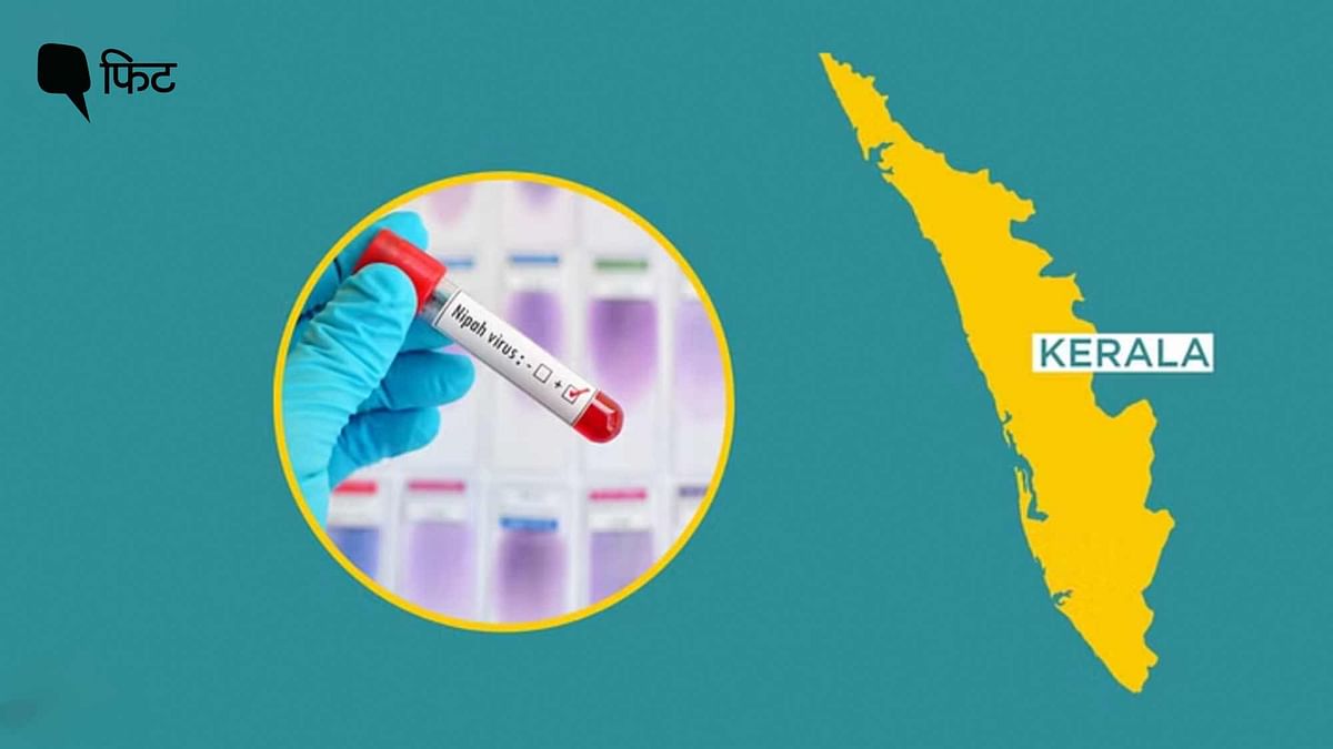 Nipah Virus: केरल में निपाह के पांचवें मामले की पुष्टि, इससे कैसे बचें?