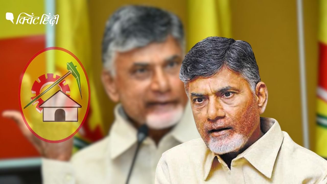 <div class="paragraphs"><p>Chandrababu Naidu: कौशल घोटाले मामले में चंद्रबाबू नायडू को HC ने दी नियमित जमानत</p></div>