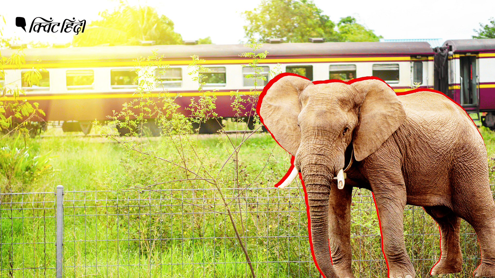 <div class="paragraphs"><p>Indian Railways: हाथी और ट्रेनों में टक्कर से मिलेगा छुटकारा, क्या है 'गजराज' सिस्टम?</p></div>