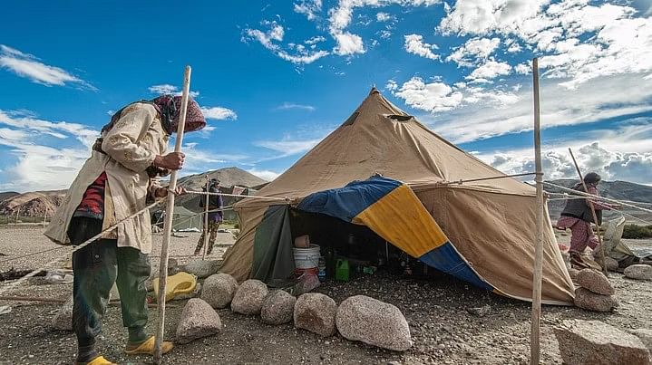 <div class="paragraphs"><p>Ladakh के चांगथांग की महिला चरवाहों जिंदगी, देखें|Photos</p></div>