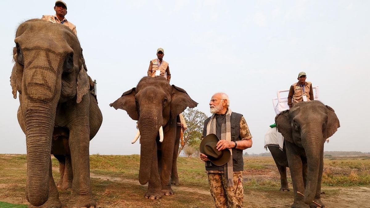 PM Modi in Kaziranga: PM मोदी ने काजीरंगा नेशनल पार्क में की हाथी की सवारी,  जीप सफारी का लिया आनंद। Photos: PM Modi in Kaziranga National Park in Assam  takes takes elephant