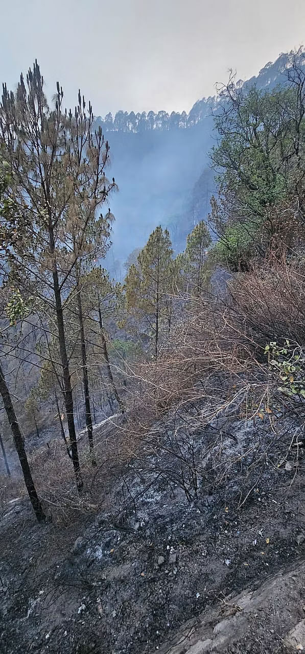 Uttarakhand Forest Fire: वन विभाग के अनुसार, 1 नवंबर 2023 से, उत्तराखंड में 606 बार जंगल में आग लगने का मामला दर्ज हुआ.
