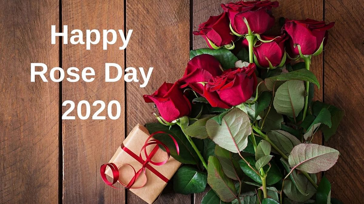 Rose Day Gifts 2020 Ideas: Best rose day gifts ideas for ...