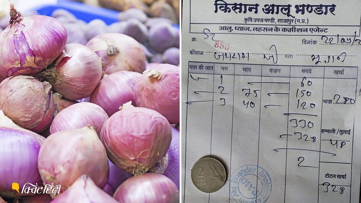 Onion Price मध्य प्रदेश में किसान की दुर्दशा देखिए, 300 किलो प्याज