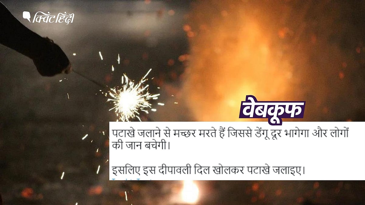 Diwali Fire Crackers Benefits Fact Checkपटाखे जलाने के फायदे गिनाता