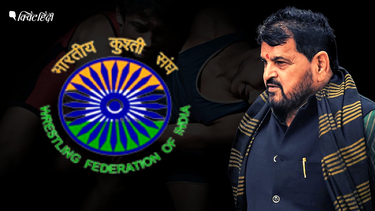 Wrestling Federation of India कौन करता है वोट,कैसे चुना जाता है भारतीय