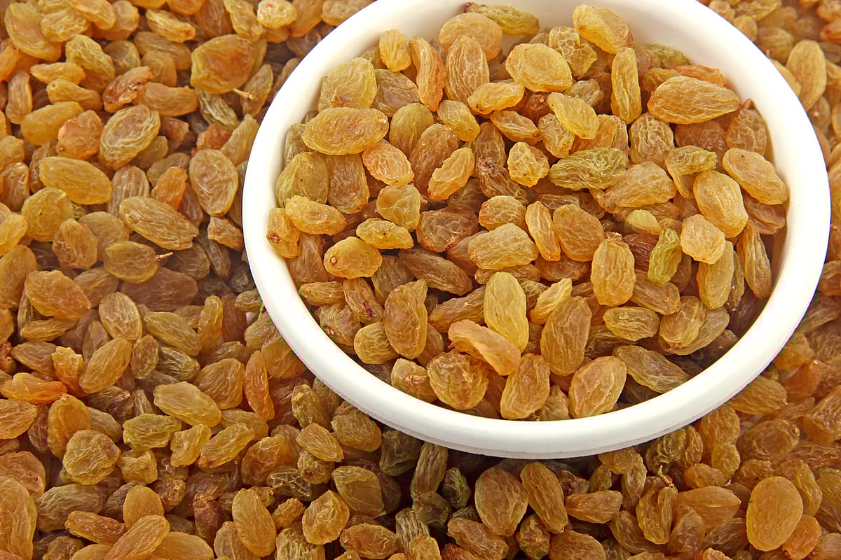 Raisin Water Benefits सेहत के लिए फायदेमंद किशमिश का पानी, होंगे यें