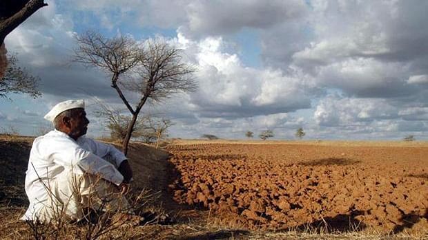 The issue of increasing farmer suicides has brought Modi government in question. (Photo: PTI)