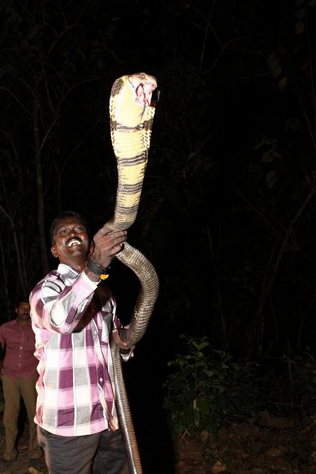 Star snake catcher Vava Suresh vows to stop his profession unless reporters apologise