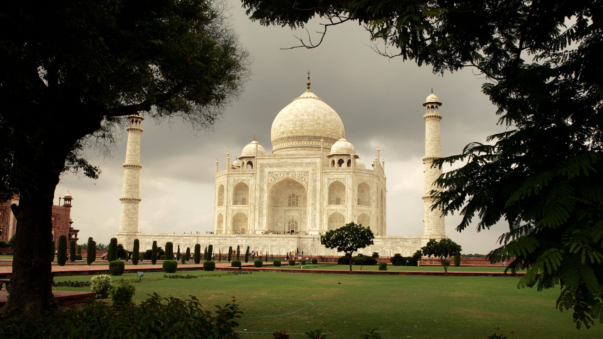 The Taj Mahal is turning yellow, says a plea. (Photo: Reuters)
