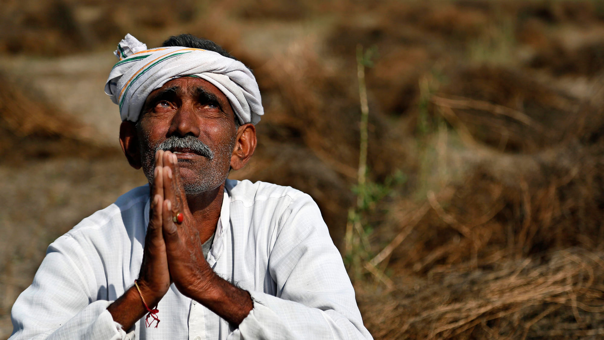 

In India, the food security is linked to the farm security. (Photo: AP)