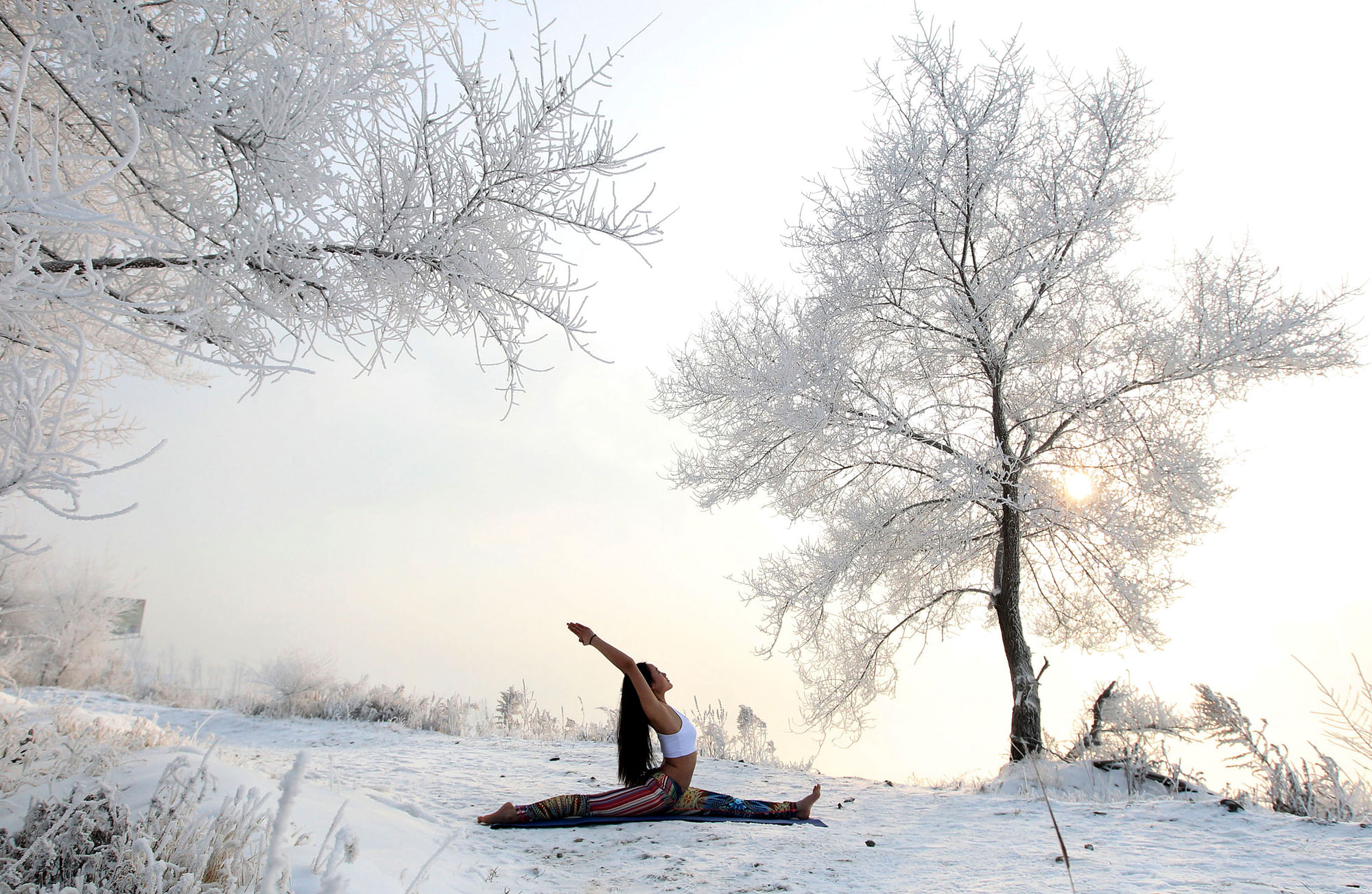 Xie Xiaoming, 26-year-old owner of a yoga club, practices yoga in thin clothes near trees covered by frosty fog on the snow-covered banks of Songhua River in Jilin. (Photo: Reuters)