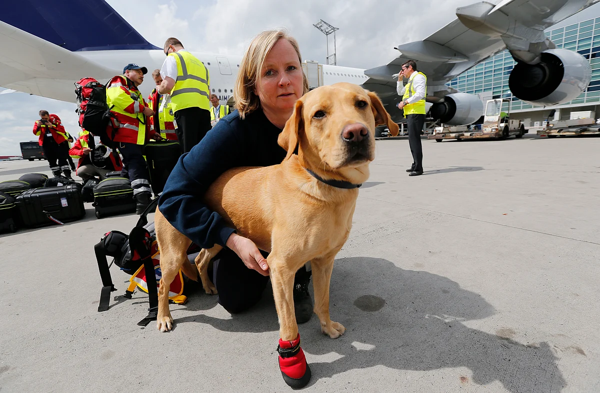 Sniffer dog handler Birgit Ostendorf prepares her dog ‘Cooper’ for board their flight to Nepal from Frankfurt Airport. Seven rescue dogs and 51 doctors, medics and logistical experts flew to Nepal on Sunday. (Photo: Reuters)