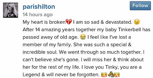 (Photo: <a href="https://instagram.com/parishilton/">Instagram/parishilton</a>)